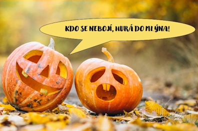 Read more about the article Příměstský tábor Halloween